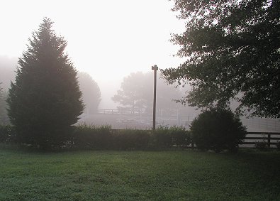 Lighted riding arena