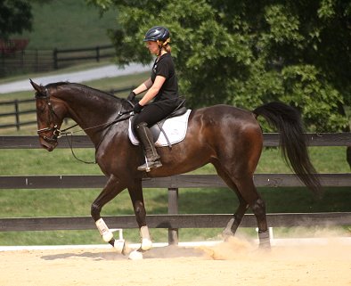 Joe Bear and Paula Gunnels at the Imtiaz Anees Kudzu Klinic put on by the Georgia Dressage and Combined Training Association.