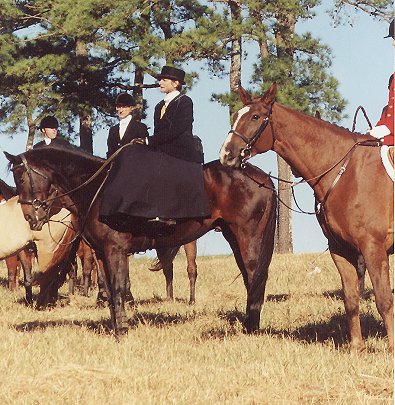 Side saddle at the fox hunt