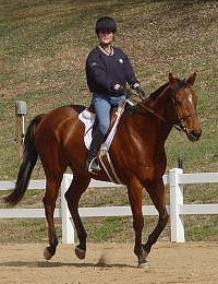 OTTB Fame For a Day enjoys going to hunter paces with his mom Gloria Coleman.