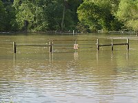 Flooded paddocks at the Biltmore Estate.