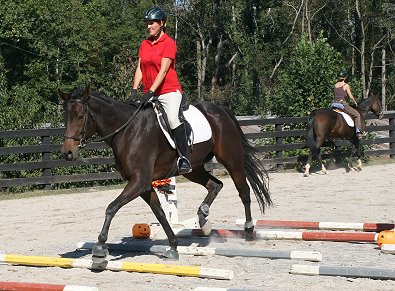 Bits & Bytes Farm Horse For Sale - Finder's Chance and Missy Miller. October 28, 2007 