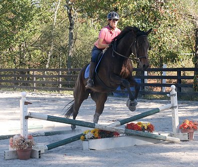 Bits & Bytes Farm Horse For Sale - Finder's Chance and Missy Miller. October 21, 2007 