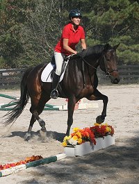 Bits & Bytes Farm Horse For Sale - Finder's Chance and Missy Miller. October 28, 2007 