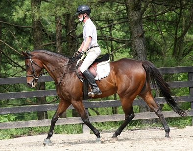 Finder's Chance and our visitor from Tennessee. June 1, 2008