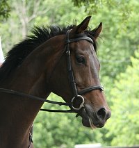 Finder's Chance -June 1, 2008 