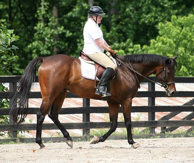 Mary Sue Younger takes Finder's Chance for a test ride. June 1, 2008