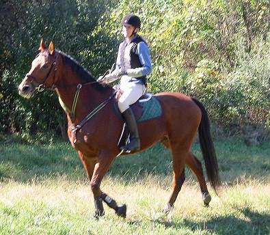 OTTB - Heather's Best x-country riding with his new mom Jennifer DeGier.