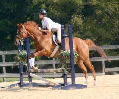 Light Artillery and Morgan Harbin