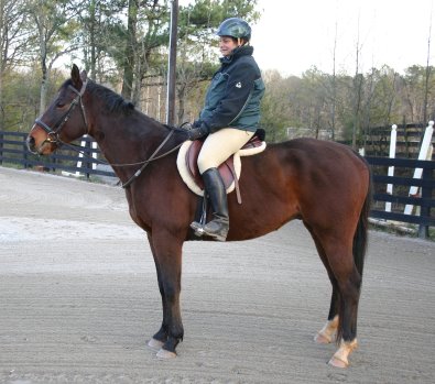 My Sparky Boy is quiet.