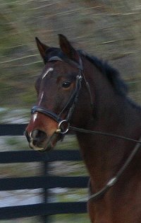 My Sparky Boy - February 25, 2006