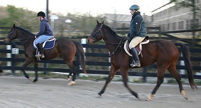 Lance and My Sparky Boy