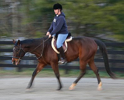 My Sparky Boy has hunter potential.