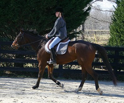 My Sparky Boy has hunter potential.