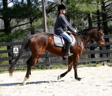 Jessica Crafton and My Sparky Boy - Janaury 28, 2006 