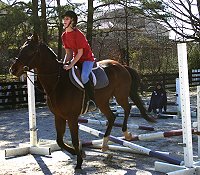 My Sparky Boy learns to jump cross-rails. January 28, 2006