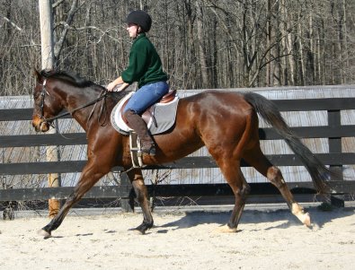 My Sparky Boy is quiet.