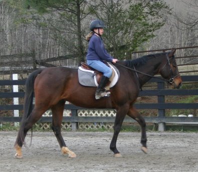 My Sparky Boy is quiet enough for children.