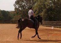 Painted Dancer aka "Tango" with dressage trainer, Ajax Sugier. November 2005