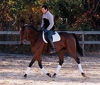 Painted Dancer aka "Tango" with dressage trainer, Ajax Sugier. November 2005