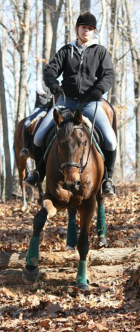 OTTB - Pride of the Fox is learning to do bank jumps down on our beginner x-country course. December 3, 2006 