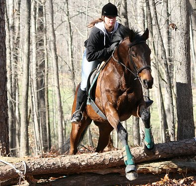 OTTB - Pride of the Fox and Ally Giles learning to jump cross country fences. December 3, 2006