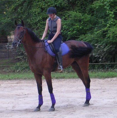Painted Dancer - First photos with his new mom Ashley - July 2005