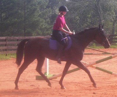 Painted Dancer - August 2005