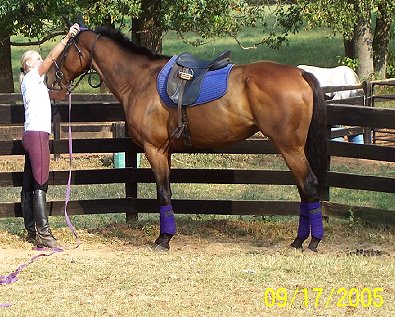 Painted Dancer aka "Tango" and his mom Ashley Rogers. - September 2005