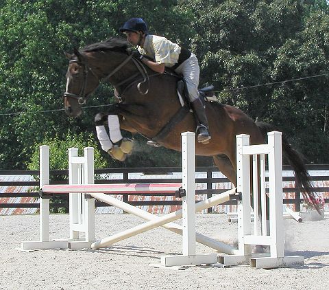 Roar by the Shore with Olympic rider Imtiaz Anees