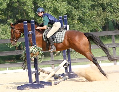 HORSE FOR SALE - Off-the-track Thoroughbred Snowdance Kid and Kimberly Horne at the GDCTA Kudzu Klinic. 
