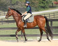 Snowdance Kid and Kimberly Horne at the GDCTA Kudzu Klinic