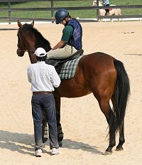 Imtiaz Anees adjusts the saddle for Kimberly Horne