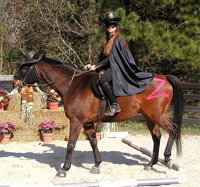 Fort Mason was a former race horse who dressed as Zorro.