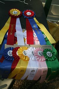 Ribbons for the hound show. 
