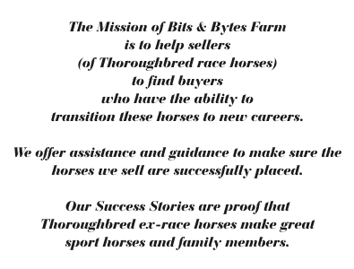 The Mission of Bits & Bytes Farm postcard.