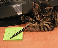 Kitten writes on paper.