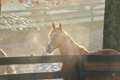 Early spring morning.