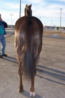 Call for more information.