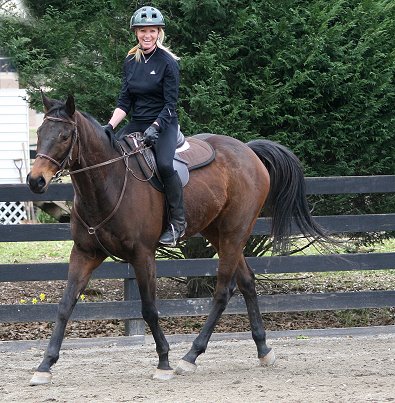 K O River Crossing is an off-the-track Thoroughbred who has a new job as a sport horse.
