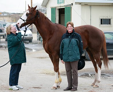 Outlaw looks like a paint but he is a registered Thoroughbred who has raced.