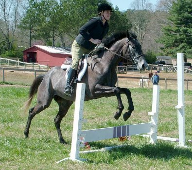 Tater Tot's very first fence at 2 foot!