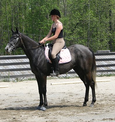 Pretty and Halliea Milner at our Easter Dressage show.
