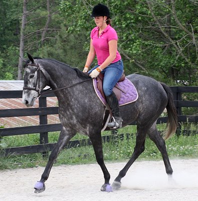 Former Prospect Horse For Sale - She Calls Me Tater aka "Pretty" is now for sale.