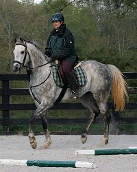 Sing D Song is doing extremely well with his training. April 9, 2007 