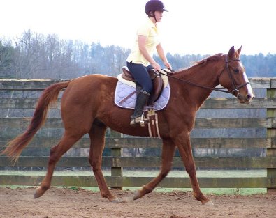 Skinny in March of 2006.