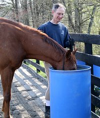 Read our latest Training Notes from Elizabeth on de-spooking horses.