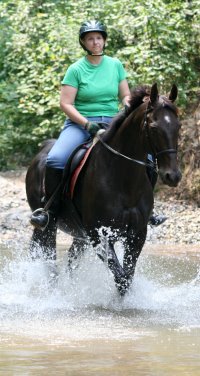 Read  about Queen's Rowdy Lad taking his mom, Mamie on a trail ride.
