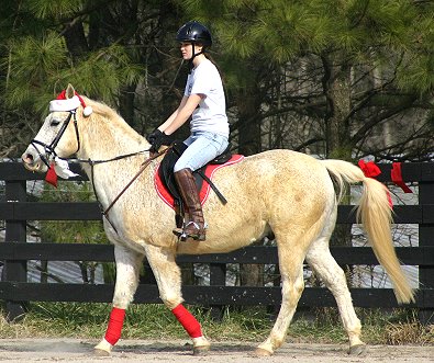 Columbus played Santa Claus for the Thoroughbreds' birthday party at Bits & Bytes Farm