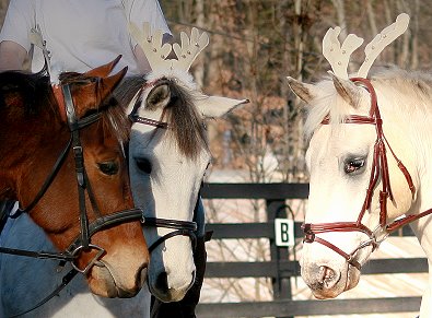Ikon, Got Um Smoke Um and Tucker talk about living at Bits & Bytes Farm.